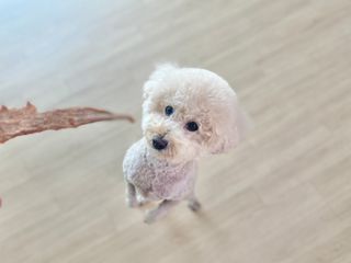테티스님이 올린 리뷰 사진 2