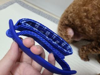 베이컨박스 [BACON] 고아웃클럽 이지그립 리드줄, 목줄 세트-BLUE — 3점을 준 리뷰어가 2021년 7월 올린 사용 사진
