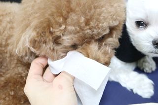 최정임님이 올린 리뷰 사진 3