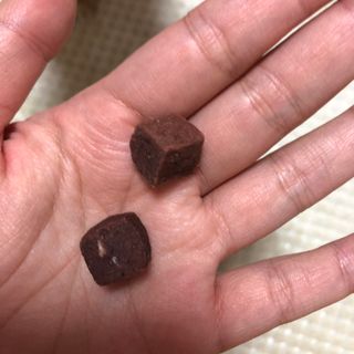 My Pet Care 천연단백질 눈건강에 개좋아 — 5점을 준 리뷰어가 2020년 12월 올린 사용 사진