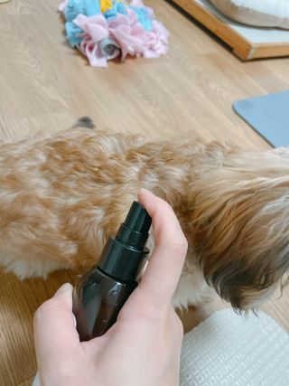 연쨩님이 올린 리뷰 사진 3