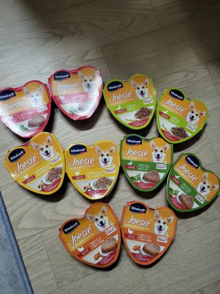비타크래프트 조에시 하트캔 85g 강아지 습식캔 10캔 — 5점을 준 리뷰어가 2021년 9월 올린 사용 사진