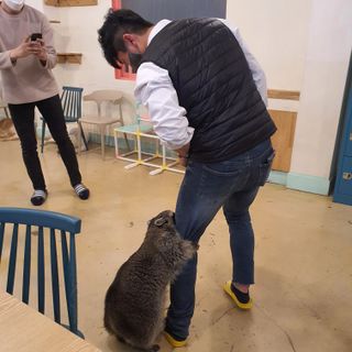 lesia님이 올린 리뷰 사진 4