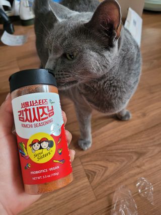 [서울시스터즈] 김치시즈닝 국내 최초 뿌려먹는 김치파우더 100g 1개+ 신제품 김치스낵 90g 2개 — 5점을 준 리뷰어가 2021년 8월 올린 사용 사진