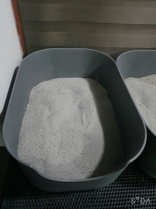 행운의집 실키식스 9kg 크린 언씬티드 프리미엄 고양이모래 — 5점을 준 리뷰어가 2021년 3월 올린 사용 사진