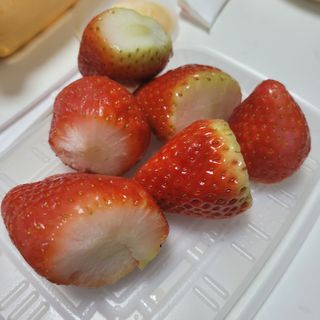 옳음 딸기 논산 설향 딸기 900g 산지직송 — 5점을 준 리뷰어가 2021년 1월 올린 사용 사진