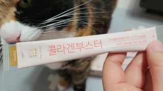 솔탄이love님이 올린 리뷰 사진 1