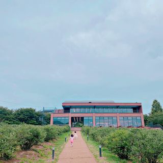 예이님이 올린 리뷰 사진 4