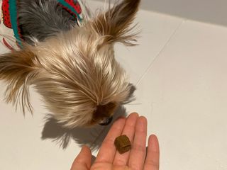 몽실이님이 올린 리뷰 사진 3