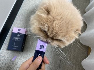 코코몰리 고양이 구강• 헤어볼 데일리 /신장• 요로 데일리 — 5점을 준 리뷰어가 2021년 3월 올린 사용 사진