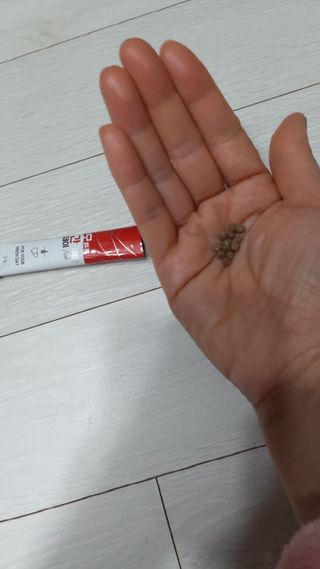 뱃살공주님이 올린 리뷰 사진 4