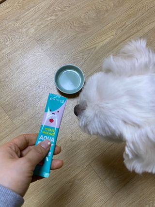 펫시랩 반려견용 액상 프리바이오틱스 아쿠아펫 — 5점을 준 리뷰어가 2021년 1월 올린 사용 사진