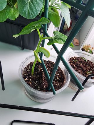 꾸왑님이 올린 리뷰 사진 3