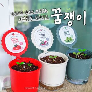 동그리동동님이 올린 리뷰 사진 1