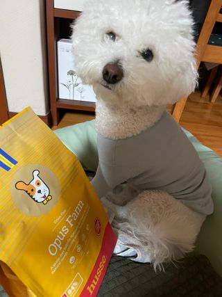 지혜님이 올린 리뷰 사진 1