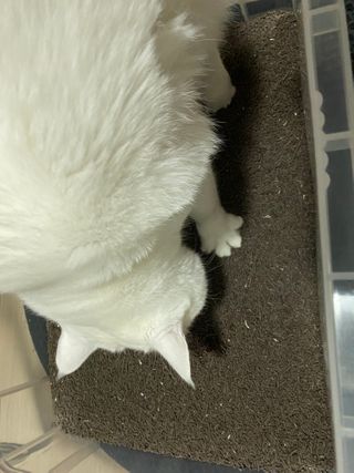 모너아리님이 올린 리뷰 사진 4