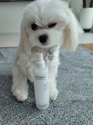 뽀블리님이 올린 리뷰 사진 3