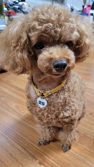 란다김님이 올린 리뷰 사진 3