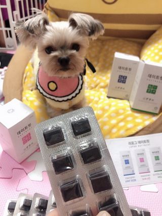 꿀님이 올린 리뷰 사진 3