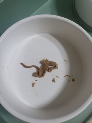 햄님이 올린 리뷰 사진 3