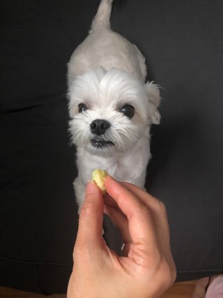 torius님이 올린 리뷰 사진 4