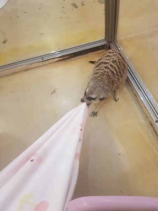 냥냥짱님이 올린 리뷰 사진 3