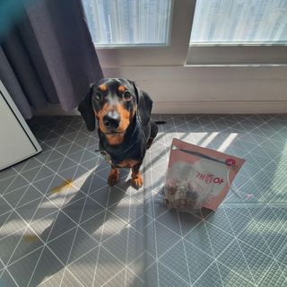 My Pet Care 천연단백질 눈건강에 개좋아 — 5점을 준 리뷰어가 2021년 2월 올린 사용 사진