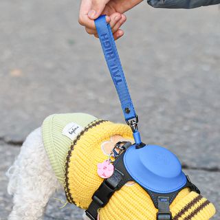 멍멍언니님이 올린 리뷰 사진 2
