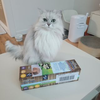 먹보옷님이 올린 리뷰 사진 2