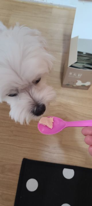 도그퓨어 푸드닭 강아지 닭고기 통살 애견간식 오리지널/차전자피/초록입홍합 — 5점을 준 리뷰어가 2021년 11월 올린 사용 사진