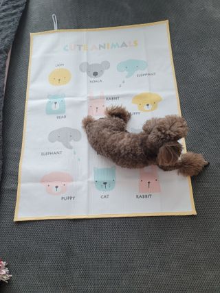 나초단맘님이 올린 리뷰 사진 2