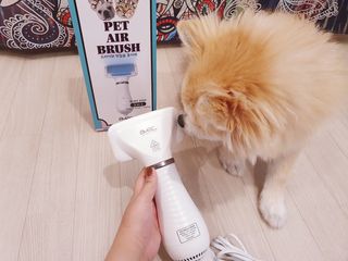아베크 펫 강아지 고양이 애견 에어 브러쉬 드라이기 올인원 — 5점을 준 리뷰어가 2021년 7월 올린 사용 사진