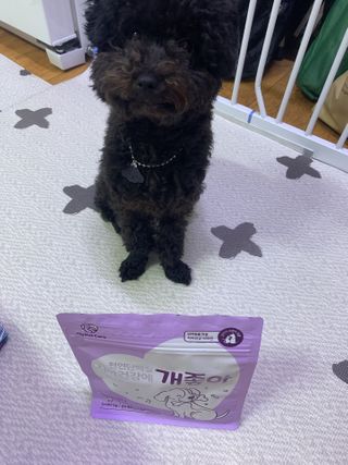My Pet Care 천연단백질 치아건강에 개좋아 — 2.5점을 준 리뷰어가 2021년 1월 올린 사용 사진