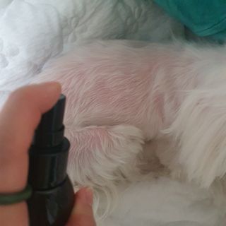 포비맘님이 올린 리뷰 사진 2