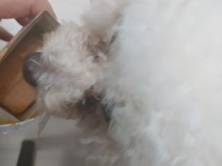 햇님달님님이 올린 리뷰 사진 4