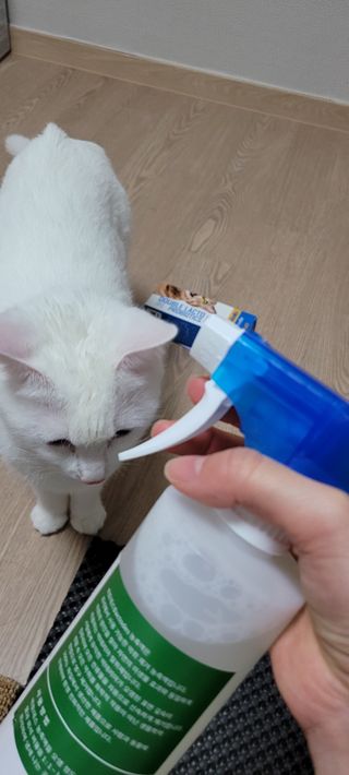 대박이님이 올린 리뷰 사진 4