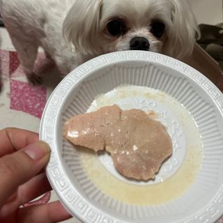 도그퓨어 푸드닭 강아지 닭고기 통살 애견간식 오리지널/차전자피/초록입홍합 — 5점을 준 리뷰어가 2021년 10월 올린 사용 사진