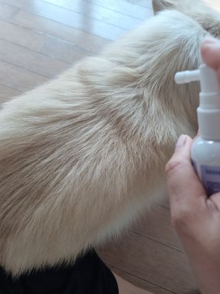 윰님이 올린 리뷰 사진 3