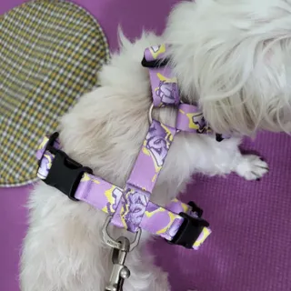 댑빵이님이 올린 리뷰 사진 3