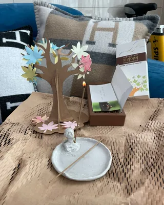 소담스퀘어 상암 인센스월드 트리아비 인센스스틱 — 5점을 준 리뷰어가 2022년 12월 올린 사용 사진