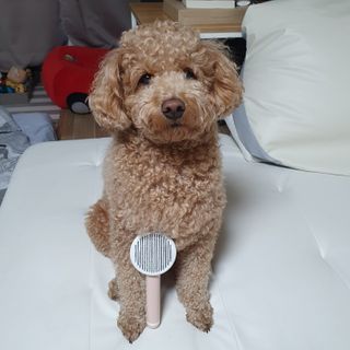 기린짱맘님이 올린 리뷰 사진 2