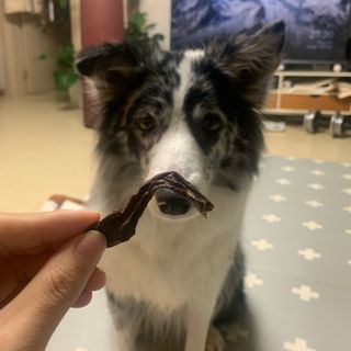 오니오니님이 올린 리뷰 사진 2