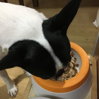 옴뇸뇸님이 올린 리뷰 사진 4