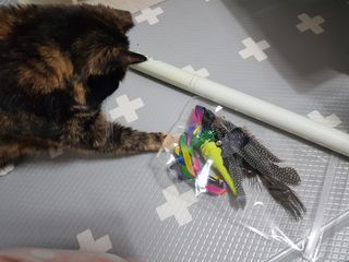 솔탄이love님이 올린 리뷰 사진 1