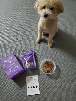 펫에이블 데일리바이트 키토 [비프], [치킨] — 4.5점을 준 리뷰어가 2021년 9월 올린 사용 사진