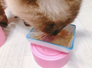 모닝스타님이 올린 리뷰 사진 4