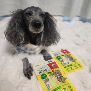 [레모나] 강아지 레모나 강아직 영양 간식 4종 택 1 — 5점을 준 리뷰어가 2024년 1월 올린 사용 사진