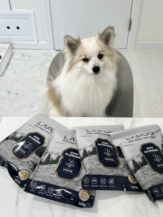[푸디웜] 라포그 리얼인섹트 소프트키블 스킨 1KG — 5점을 준 리뷰어가 2022년 9월 올린 사용 사진