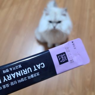 코코몰리 고양이 구강• 헤어볼 데일리 /신장• 요로 데일리 — 5점을 준 리뷰어가 2021년 1월 올린 사용 사진