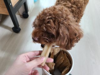 연이님이 올린 리뷰 사진 1